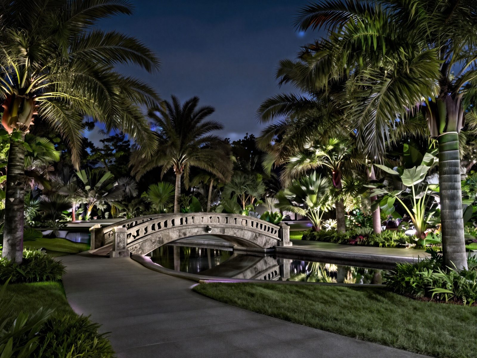 Garden bridge over the water at night, lit beneath palm trees